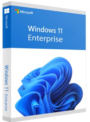 Microsoft Windows 11 Enterprise, ESD