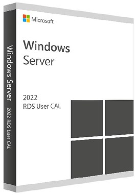 Microsoft Windows Server 2022 Remote Desktop Services User-CAL 10 User, ESD Kopie