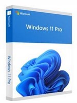 Microsoft Windows 11 Pro DE 